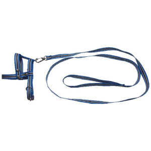 Kit de Paseo Estampado: Collar + Paseador - Talla 1 (Ideal Cachorros y Razas Mini)